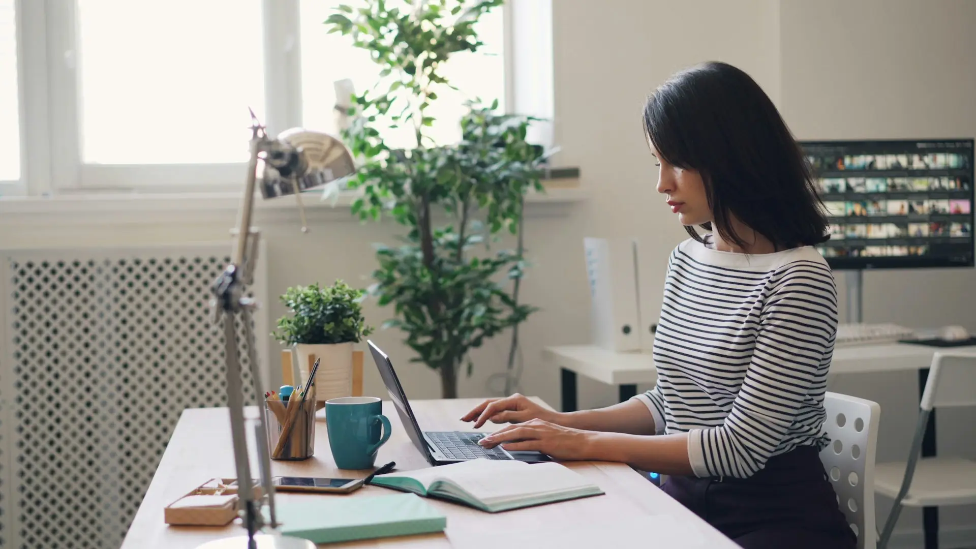 Accounting & Bookkeeping