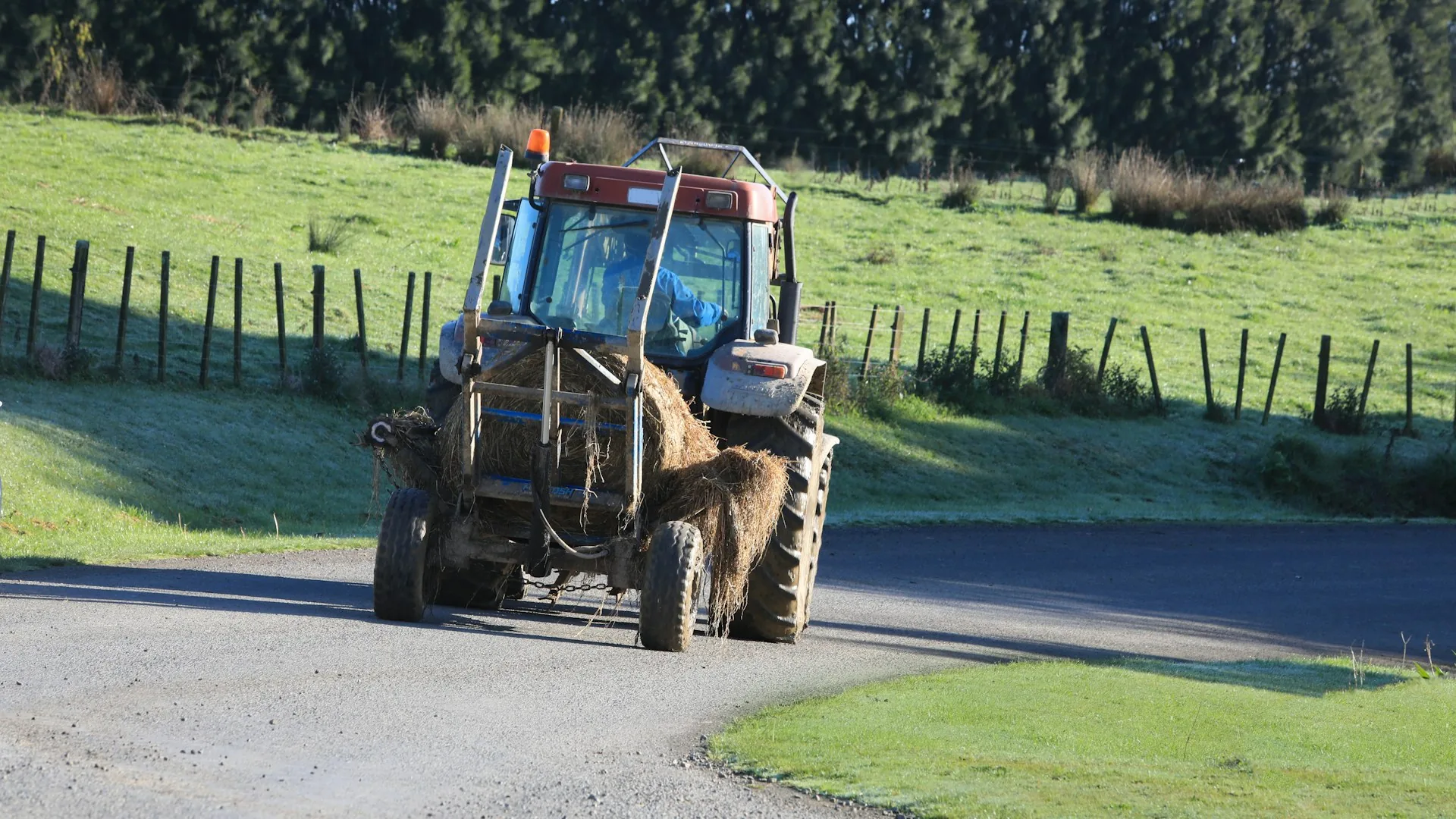 Agriculture & Primary Industries
